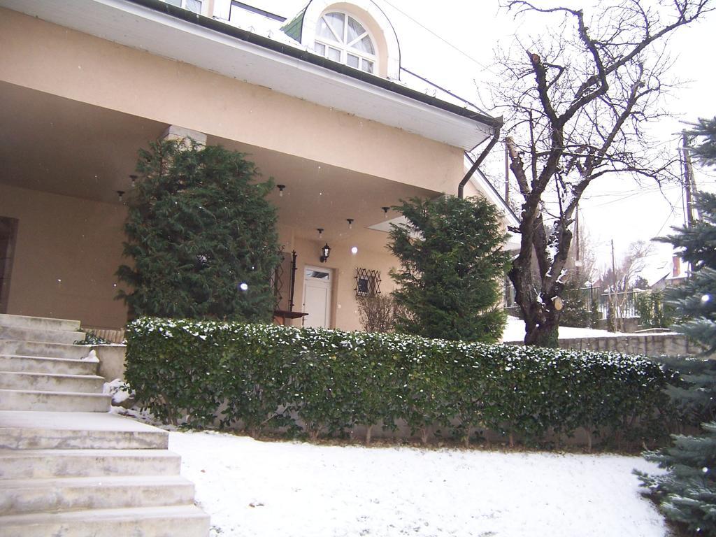 Villa Szekely Leányfalu Exteriér fotografie